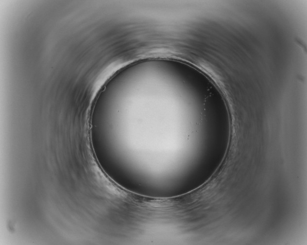 X0000102281392200808011440