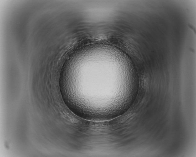 X0000102281393200808011439