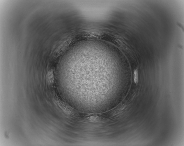 X0000102281395200808011440