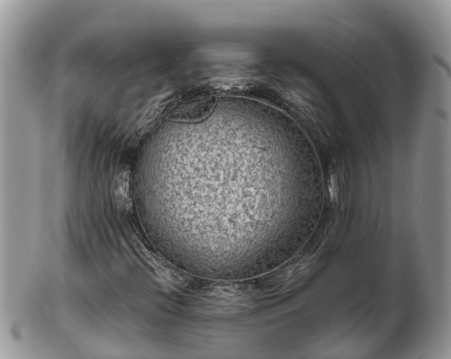 X0000102281396200808011440