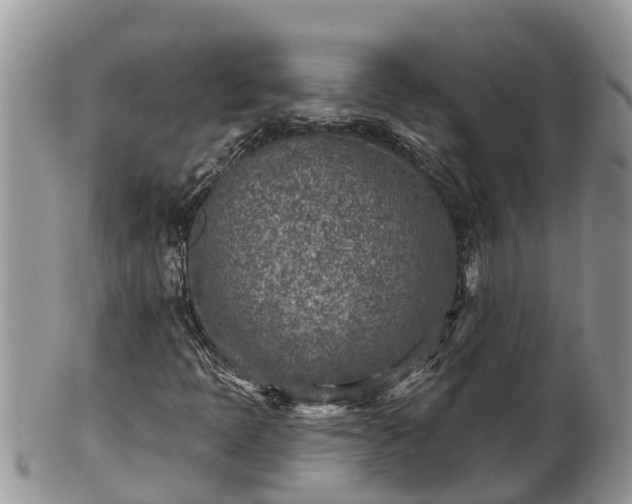 X0000102281397200808011440
