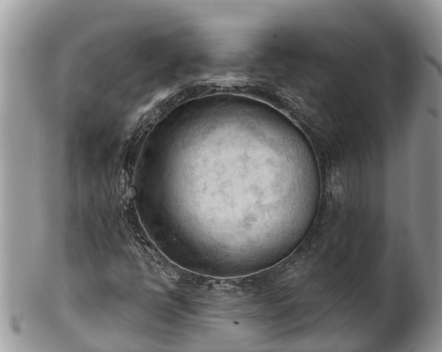 X0000102281398200808011440