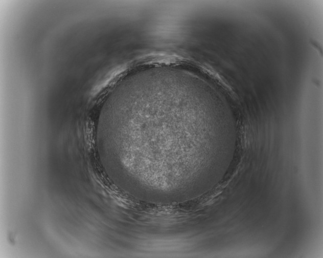 X0000102281399200808011440