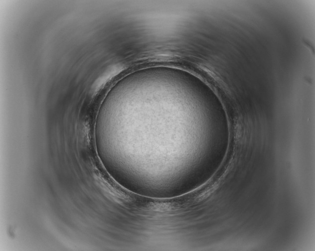 X0000102281402200808011440
