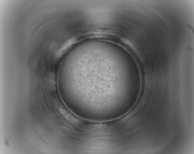 X0000102281403200808011440