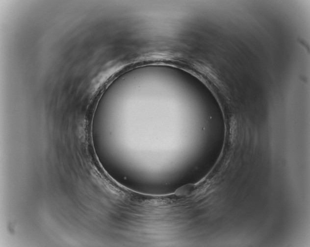 X0000102281404200808011440