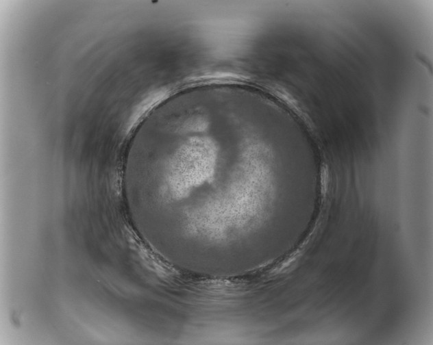 X0000102281405200808011440