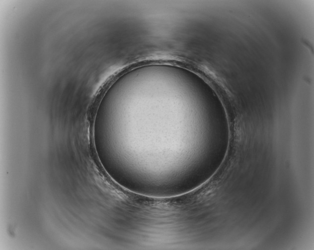 X0000102281408200808011440