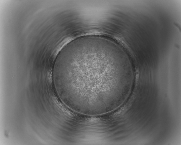 X0000102281409200808011440