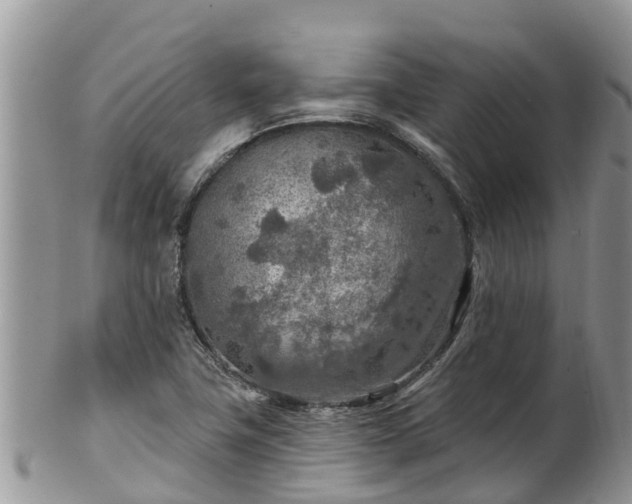 X0000102281411200808011440