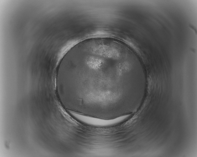X0000102281413200808011440