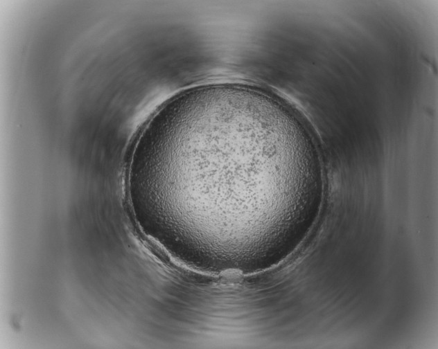 X0000102281415200808011440
