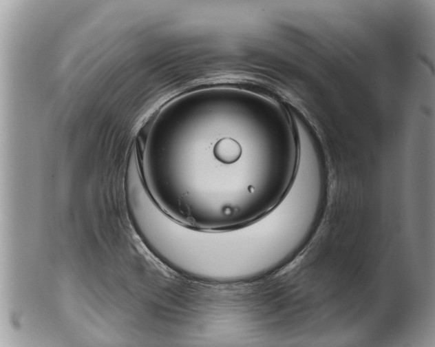 X0000102281417200808011440