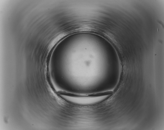 X0000102281418200808011440
