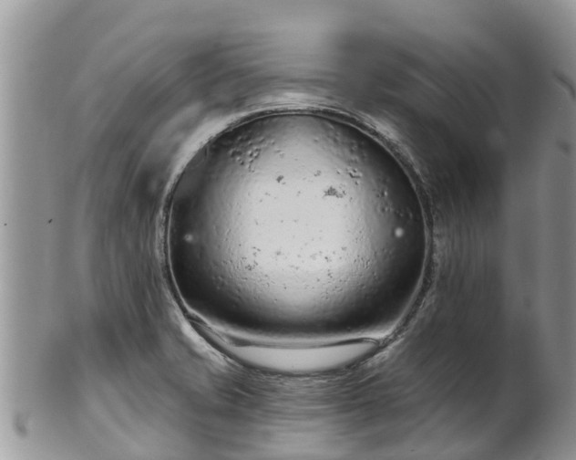 X0000102281421200808011440