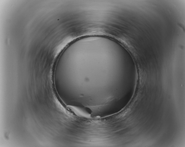 X0000102281422200808011440