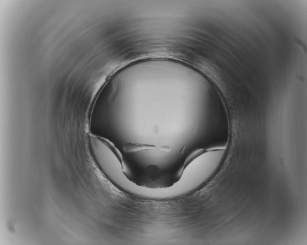 X0000102281428200808011440