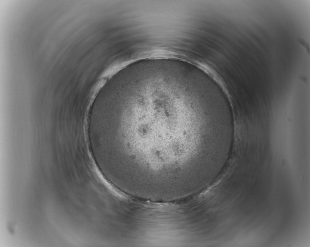 X0000102281429200808011440