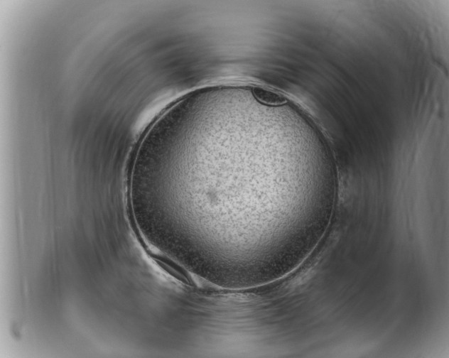 X0000102281430200808011440