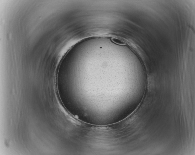 X0000102281432200808011440