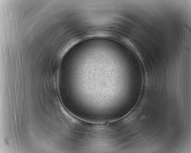 X0000102281433200808011440