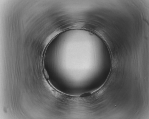 X0000102281434200808011440