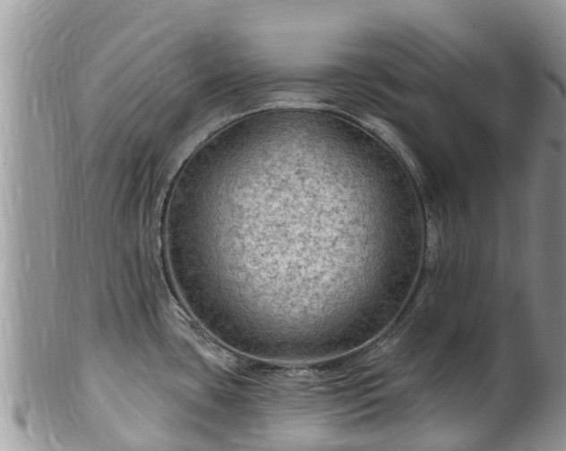 X0000102281435200808011440