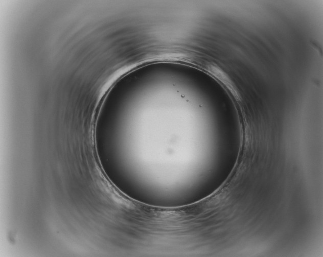 X0000102281436200808011440