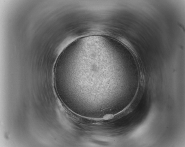 X0000102281439200808011440