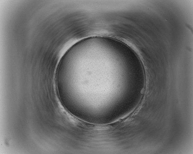 X0000102281440200808011440