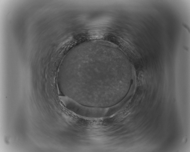 X0000102281441200808011439