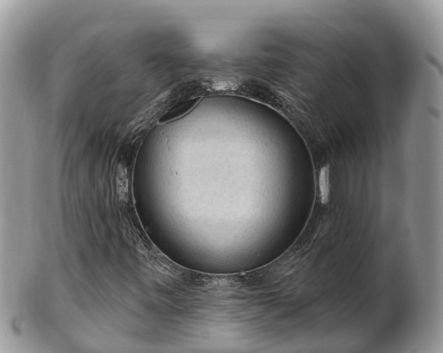 X0000102281443200808011439