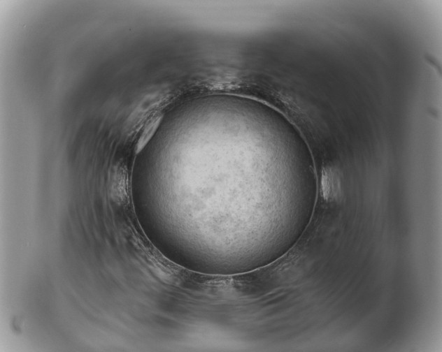 X0000102281444200808011439