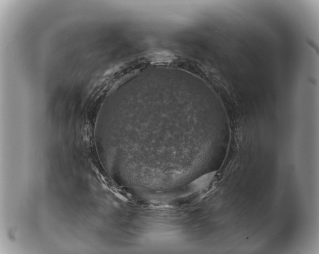 X0000102281445200808011439