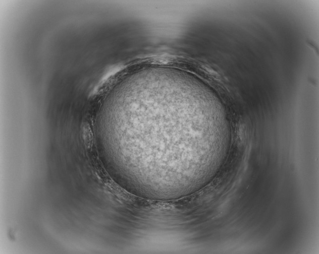 X0000102281446200808011439