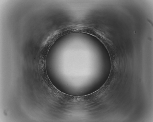 X0000102281447200808011439