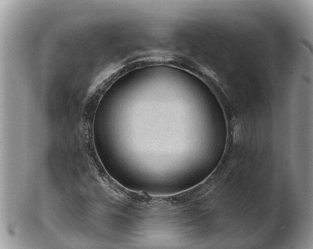 X0000102281448200808011439