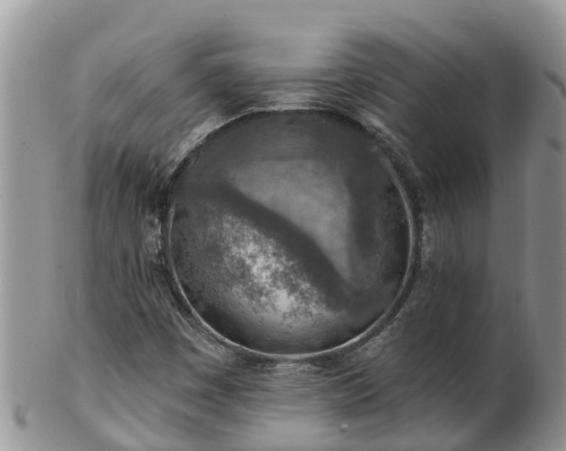 X0000102281449200808011439