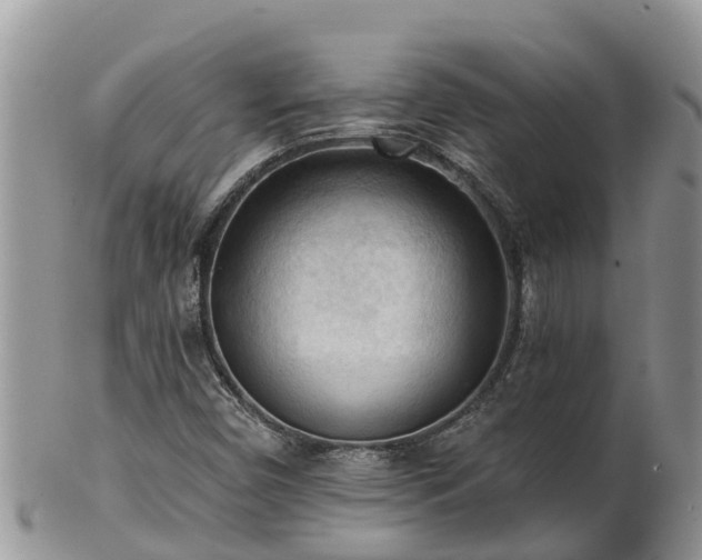 X0000102281450200808011439