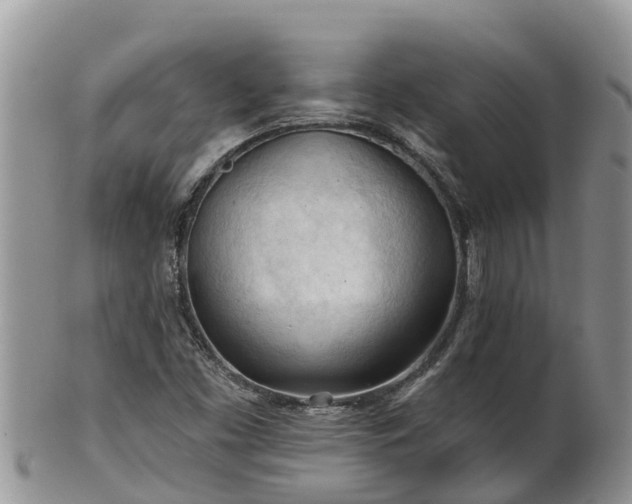 X0000102281453200808011439