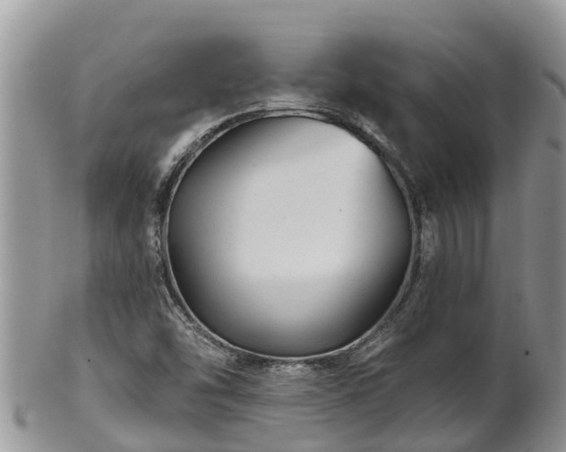 X0000102281454200808011439