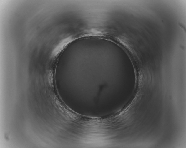 X0000102281455200808011439