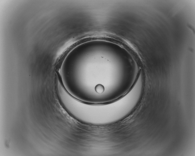 X0000102281456200808011439