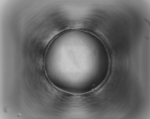 X0000102281457200808011439