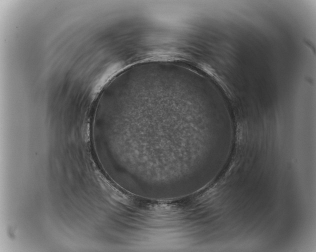 X0000102281459200808011439