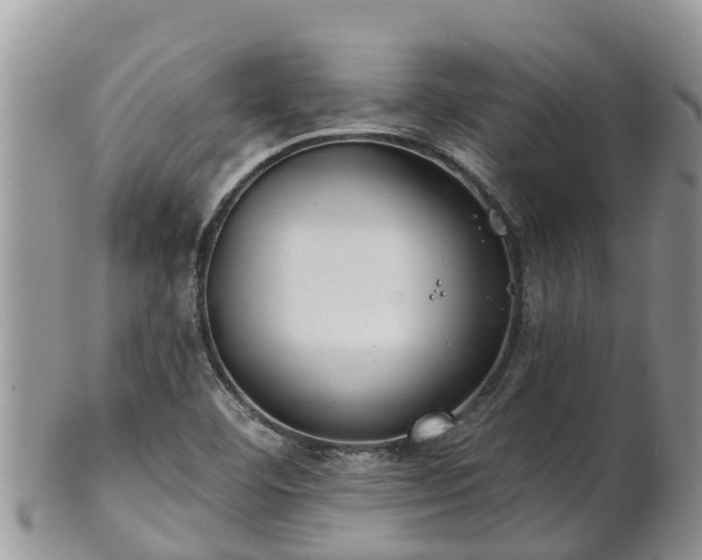 X0000102281460200808011439