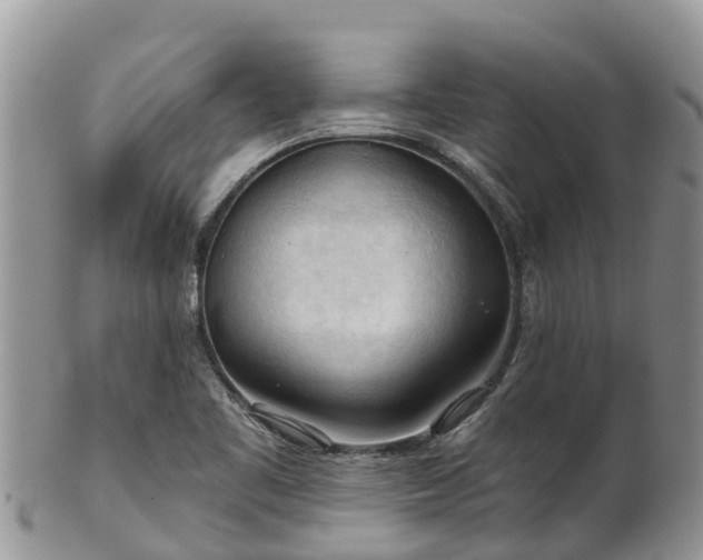 X0000102281461200808011439