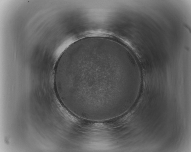 X0000102281463200808011439