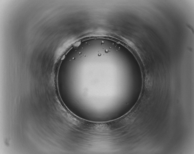 X0000102281464200808011439