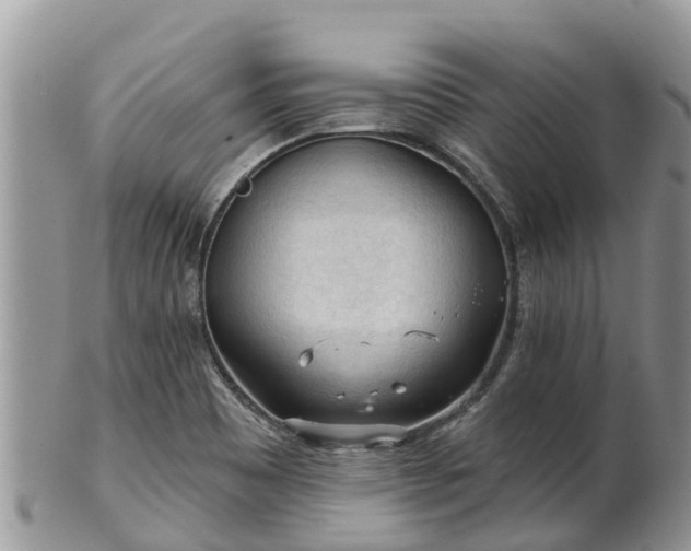 X0000102281465200808011439
